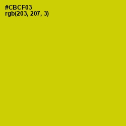 #CBCF03 - Bird Flower Color Image