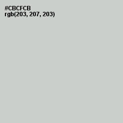 #CBCFCB - Pumice Color Image