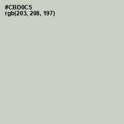 #CBD0C5 - Sea Mist Color Image