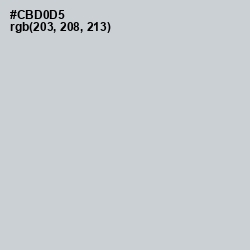 #CBD0D5 - Tiara Color Image