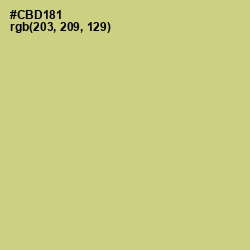 #CBD181 - Pine Glade Color Image