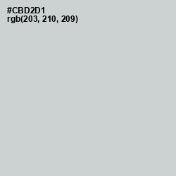 #CBD2D1 - Conch Color Image