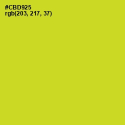 #CBD925 - Pear Color Image