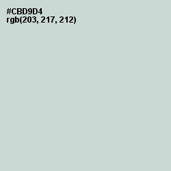 #CBD9D4 - Nebula Color Image