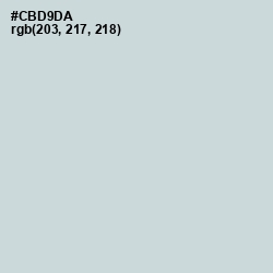 #CBD9DA - Nebula Color Image