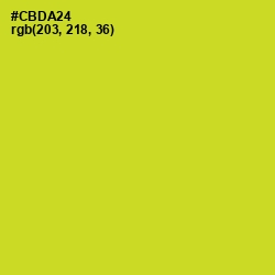 #CBDA24 - Pear Color Image