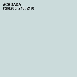 #CBDADA - Nebula Color Image