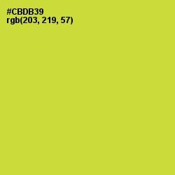 #CBDB39 - Pear Color Image