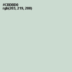 #CBDBD0 - Conch Color Image