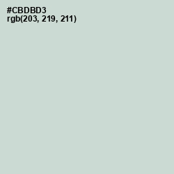 #CBDBD3 - Conch Color Image