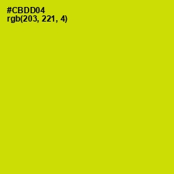 #CBDD04 - Bird Flower Color Image