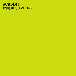 #CBDD10 - Bird Flower Color Image