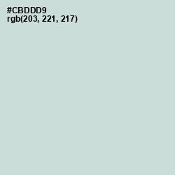 #CBDDD9 - Nebula Color Image