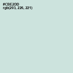 #CBE2DD - Skeptic Color Image