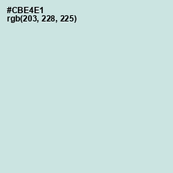 #CBE4E1 - Jagged Ice Color Image