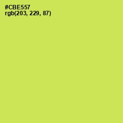 #CBE557 - Wattle Color Image