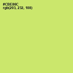 #CBE86C - Yellow Green Color Image