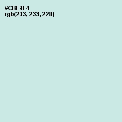 #CBE9E4 - Jagged Ice Color Image