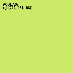 #CBEA67 - Yellow Green Color Image