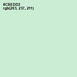 #CBEDD3 - Surf Crest Color Image