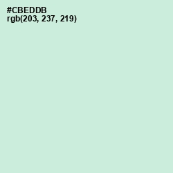 #CBEDDB - Skeptic Color Image