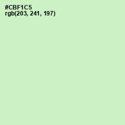 #CBF1C5 - Tea Green Color Image