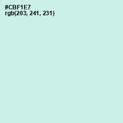 #CBF1E7 - Mint Tulip Color Image