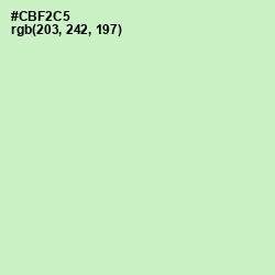 #CBF2C5 - Tea Green Color Image