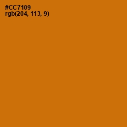 #CC7109 - Indochine Color Image