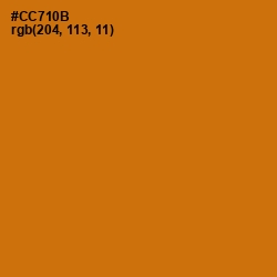 #CC710B - Indochine Color Image