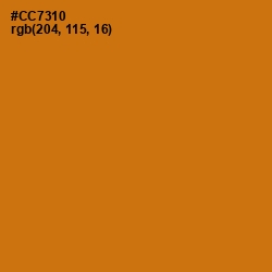 #CC7310 - Meteor Color Image