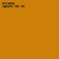 #CC800A - Pizza Color Image