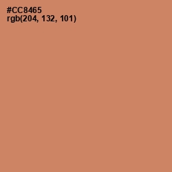 #CC8465 - Antique Brass Color Image