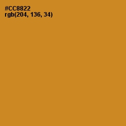#CC8822 - Brandy Punch Color Image
