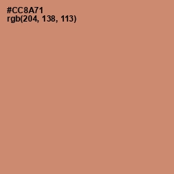 #CC8A71 - Antique Brass Color Image