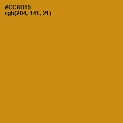 #CC8D15 - Pizza Color Image
