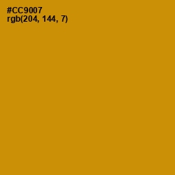 #CC9007 - Pizza Color Image