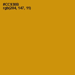 #CC930B - Pizza Color Image
