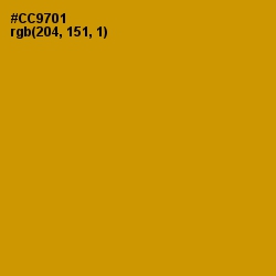 #CC9701 - Pizza Color Image