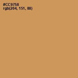 #CC9758 - Twine Color Image