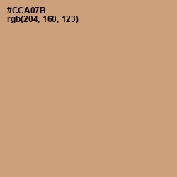 #CCA07B - Laser Color Image