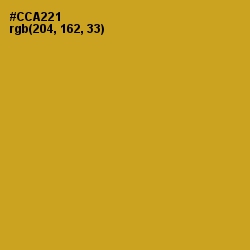 #CCA221 - Hokey Pokey Color Image