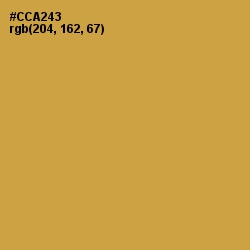 #CCA243 - Roti Color Image