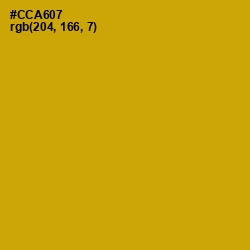#CCA607 - Buddha Gold Color Image