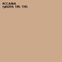 #CCA98A - Tan Color Image