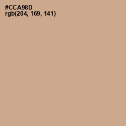 #CCA98D - Indian Khaki Color Image