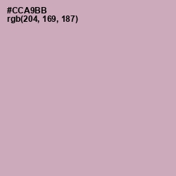 #CCA9BB - Lily Color Image