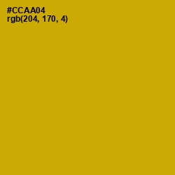 #CCAA04 - Buddha Gold Color Image