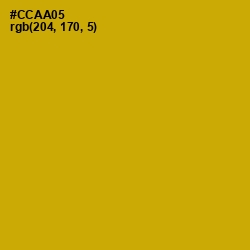 #CCAA05 - Buddha Gold Color Image