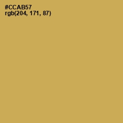 #CCAB57 - Sundance Color Image